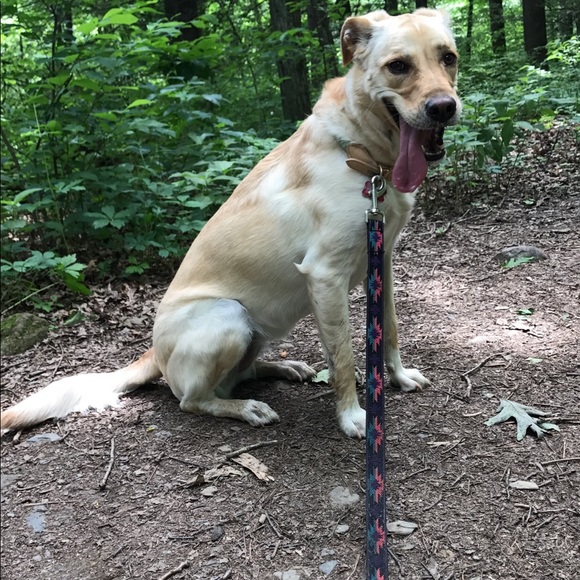 Meet your Posher, Madison - Picture 1 of 1